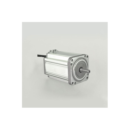 BW8012 Bürstenloser Motor BLDC 250W/350W-24V/36V/48V mit Steuerung